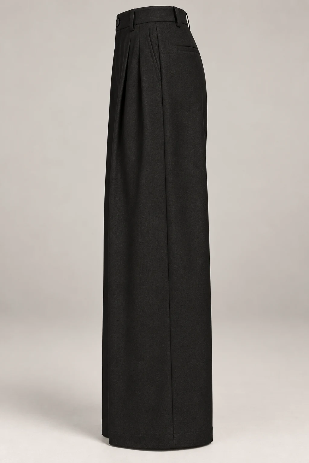 Pleated Wide-Leg Trouser in Ink black — Left side